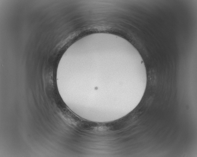 X0000076060212200610201956