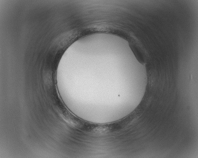 X0000076060213200610201956