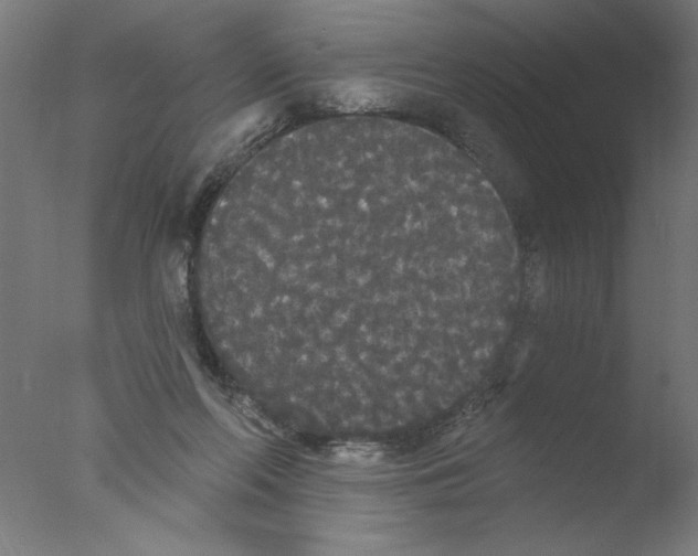 X0000076060214200610201956