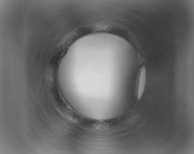 X0000076060215200610201956