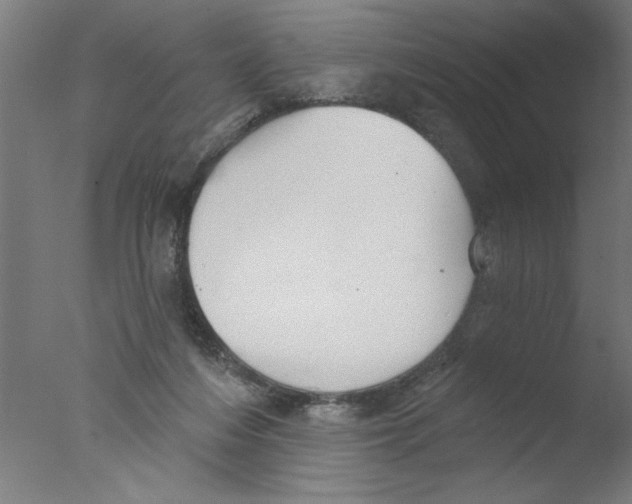 X0000076060216200610201956