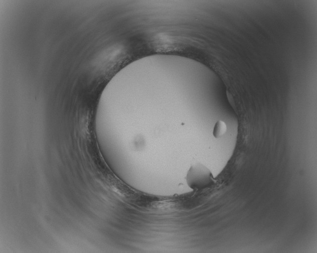 X0000076060219200610201956