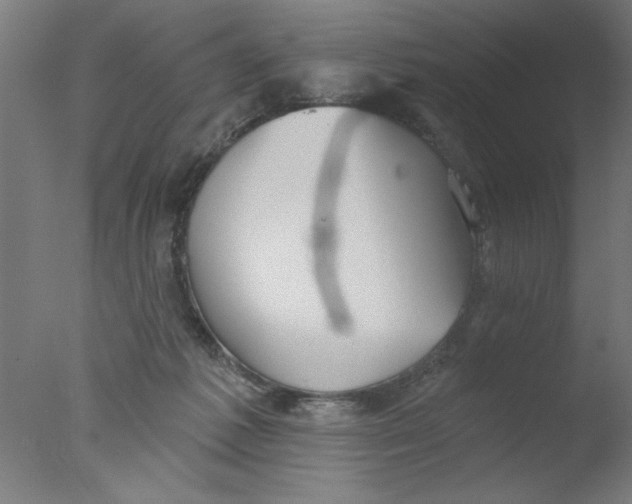 X0000076060221200610201956