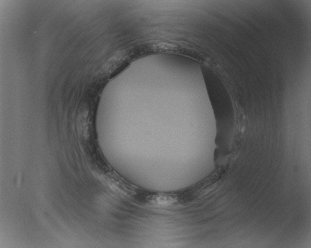 X0000076060223200610201956