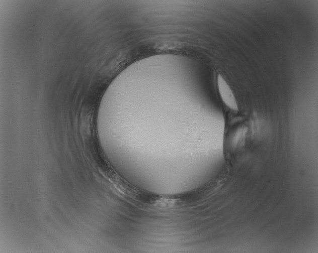 X0000076060227200610201956