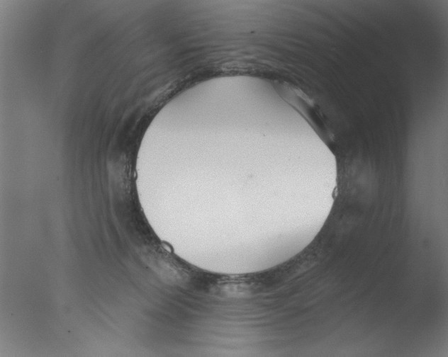 X0000076060228200610201956