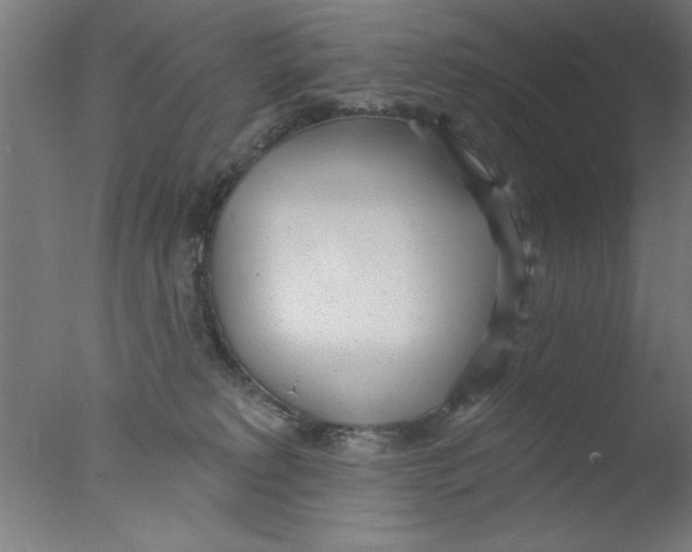 X0000076060229200610201956