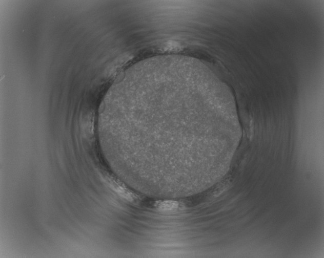 X0000076060230200610201956