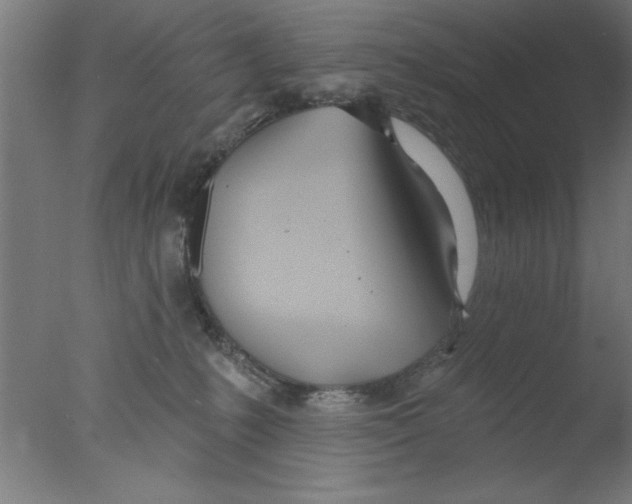 X0000076060231200610201956