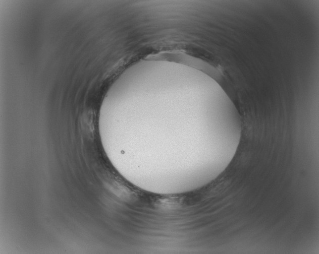 X0000076060232200610201956