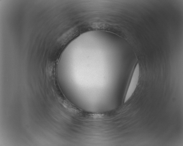 X0000076060233200610201956