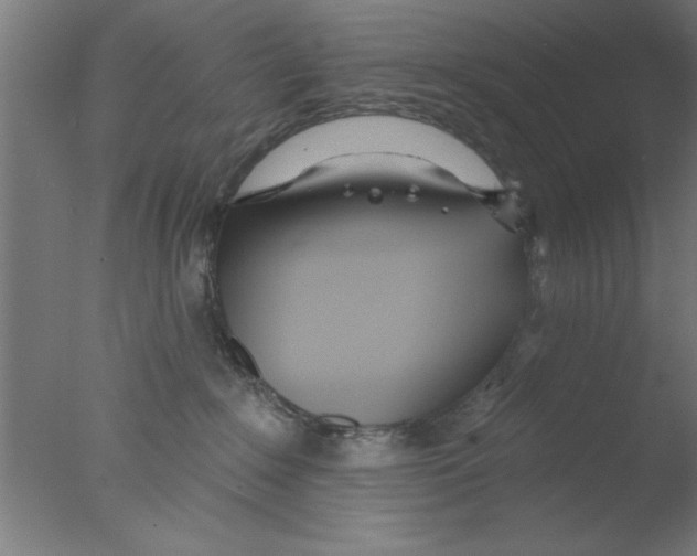 X0000076060235200610201956