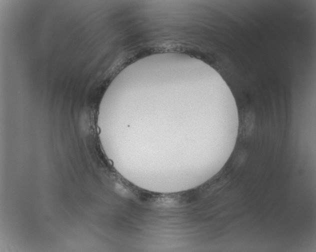 X0000076060236200610201956