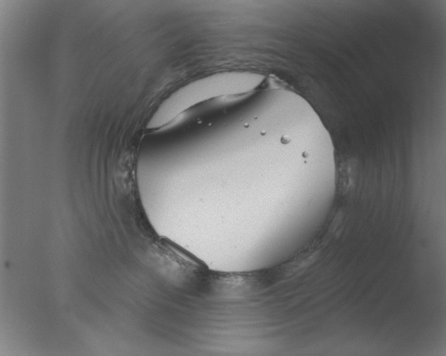 X0000076060237200610201956