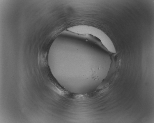 X0000076060239200610201956