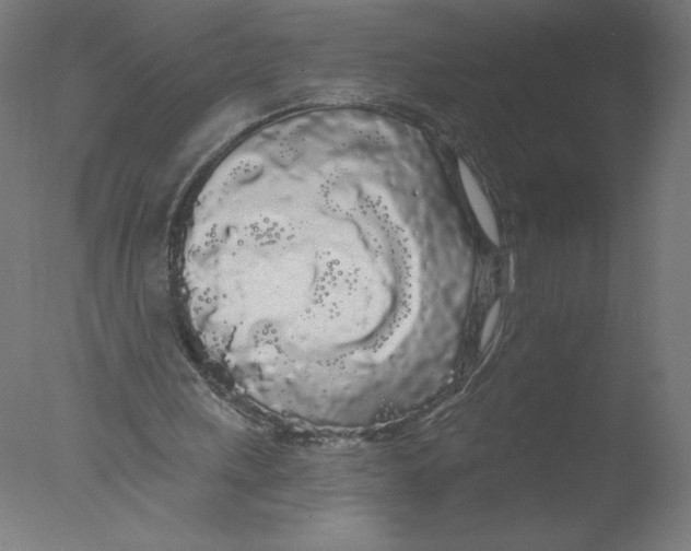 X0000076060243200610201955