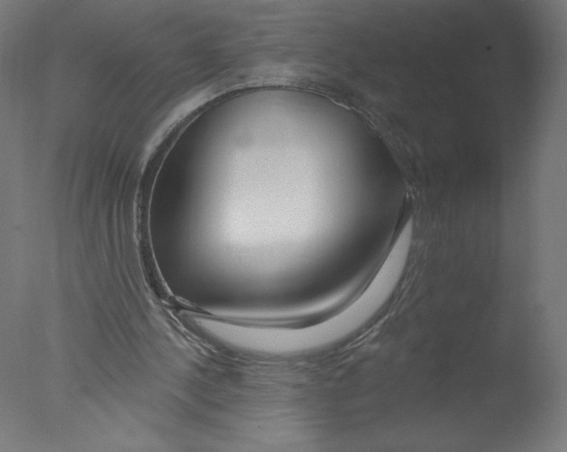 X0000076060244200610201955