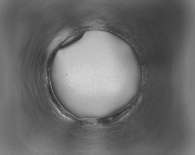 X0000076060245200610201955