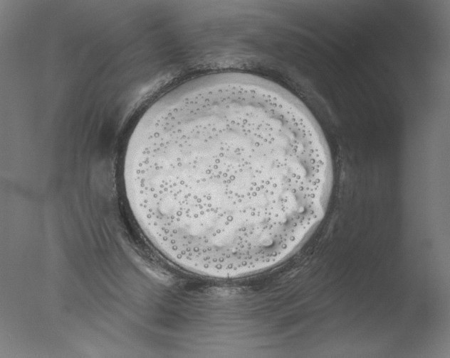 X0000076060250200610201955