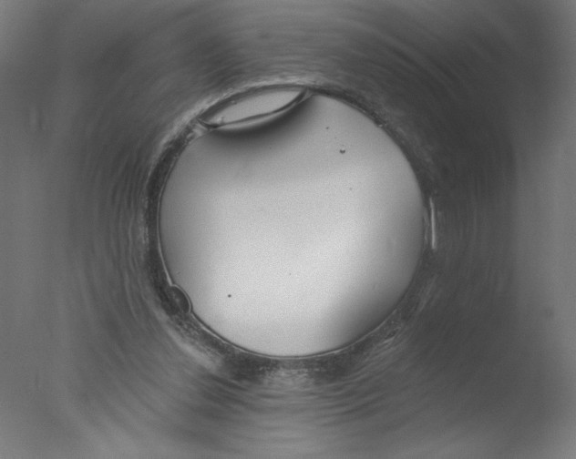 X0000076060252200610201955