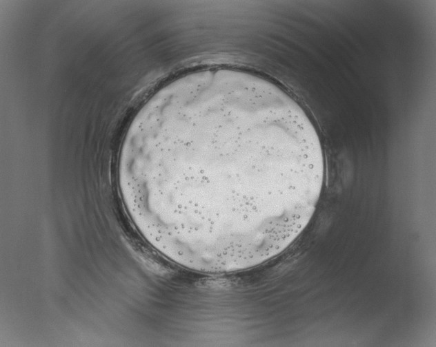 X0000076060253200610201955