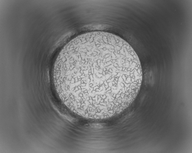 X0000076060254200610201955