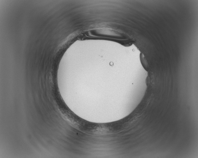 X0000076060256200610201955