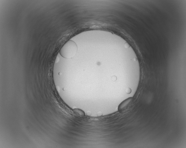 X0000076060257200610201955