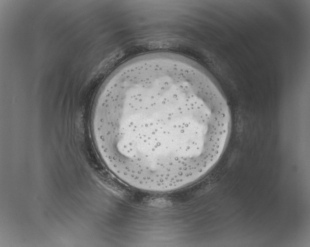 X0000076060258200610201955