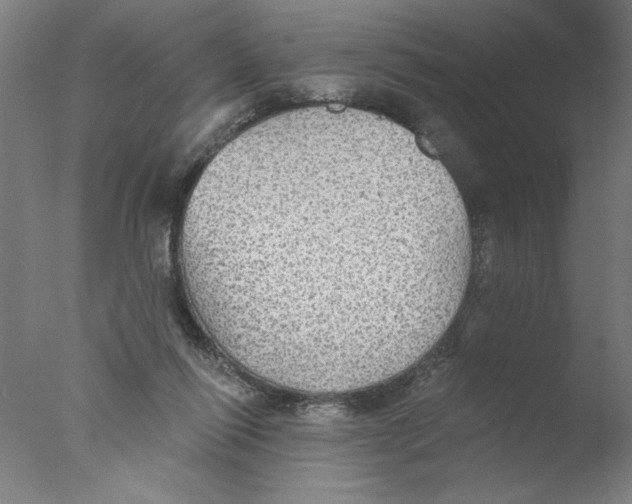 X0000076060262200610201956