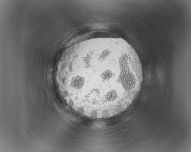 X0000076060263200610201956