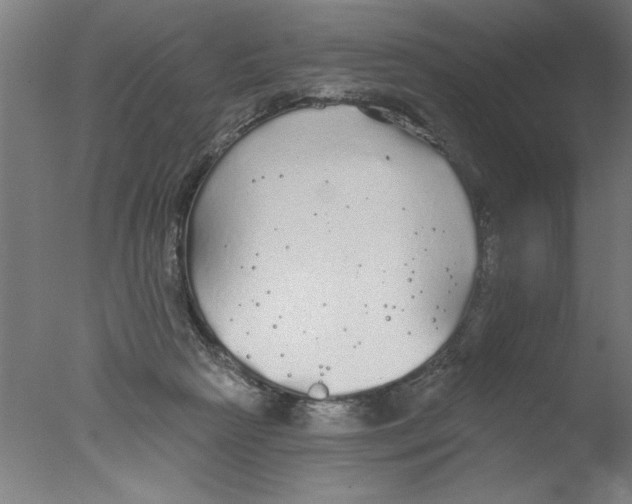 X0000076060265200610201956