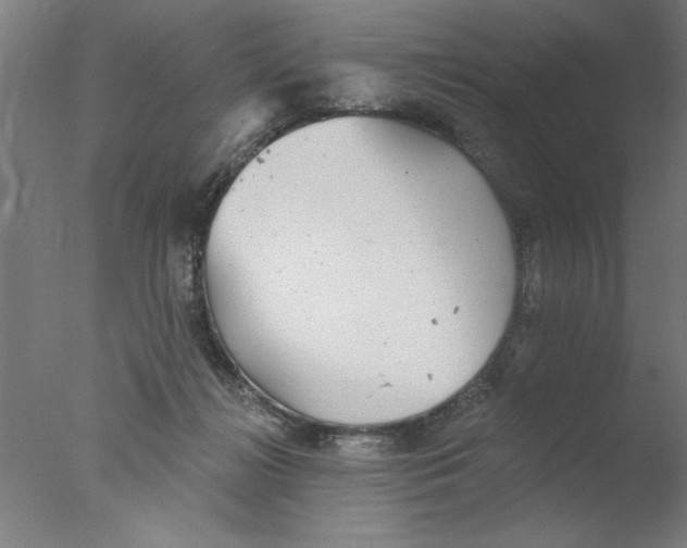 X0000076060268200610201956