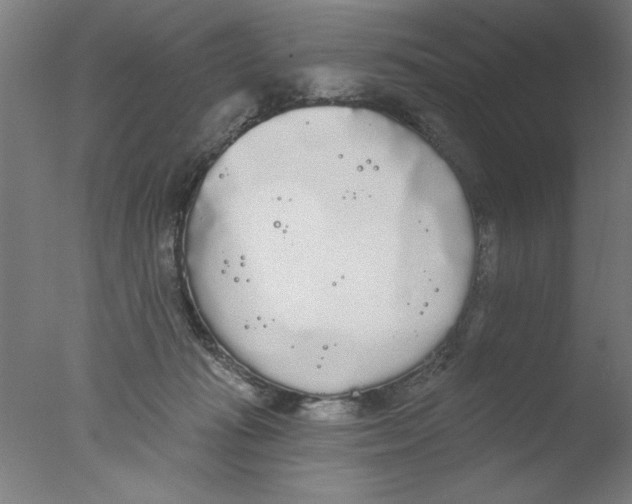 X0000076060269200610201956