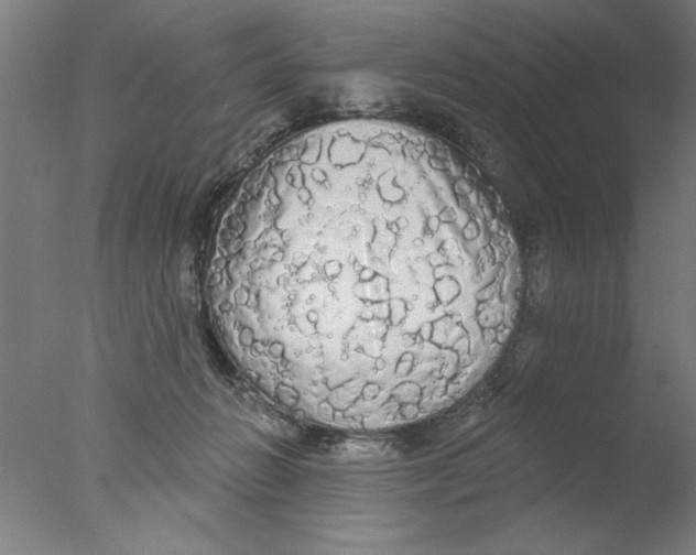 X0000076060270200610201956