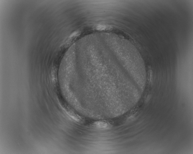 X0000076060272200610201956