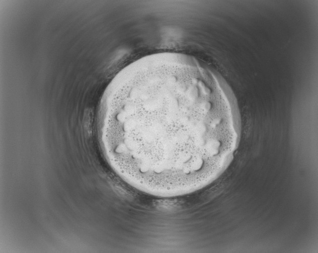 X0000076060273200610201956