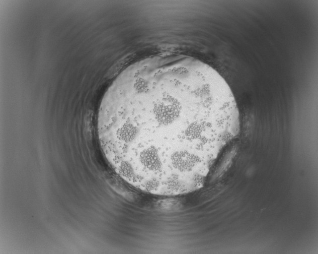 X0000076060275200610201956