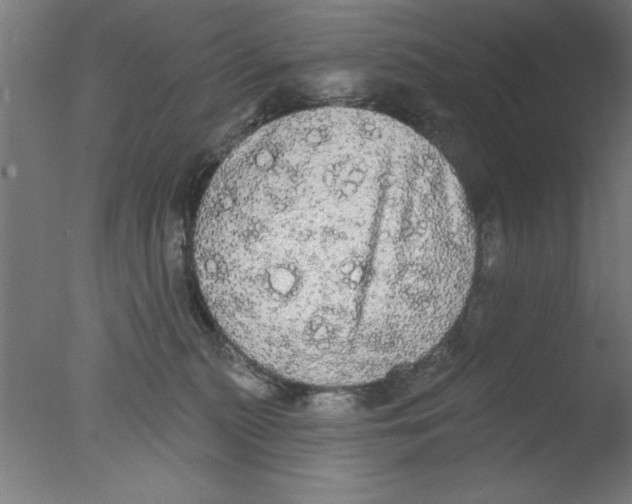 X0000076060279200610201956