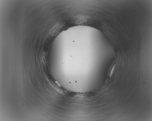 X0000076060280200610201956