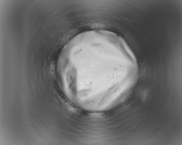 X0000076060281200610201956