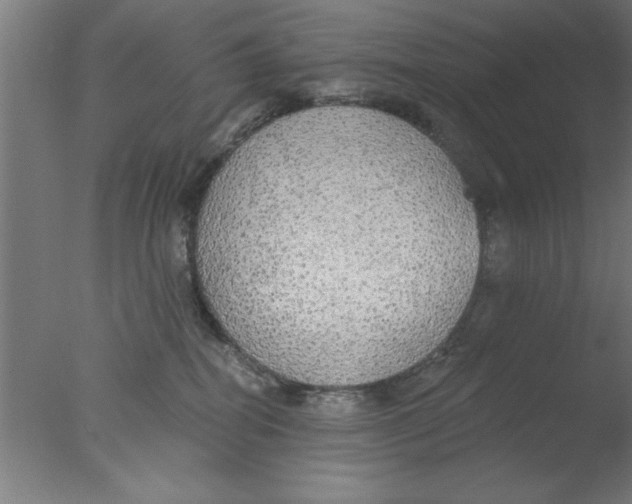 X0000076060282200610201956