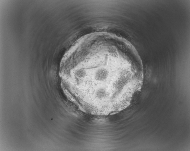 X0000076060283200610201956