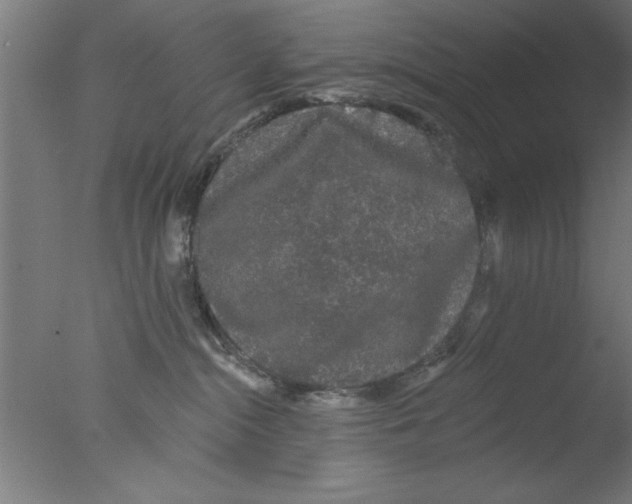 X0000076060284200610201956