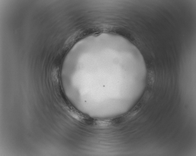 X0000076060286200610201956