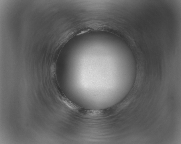 X0000076060288200610201956