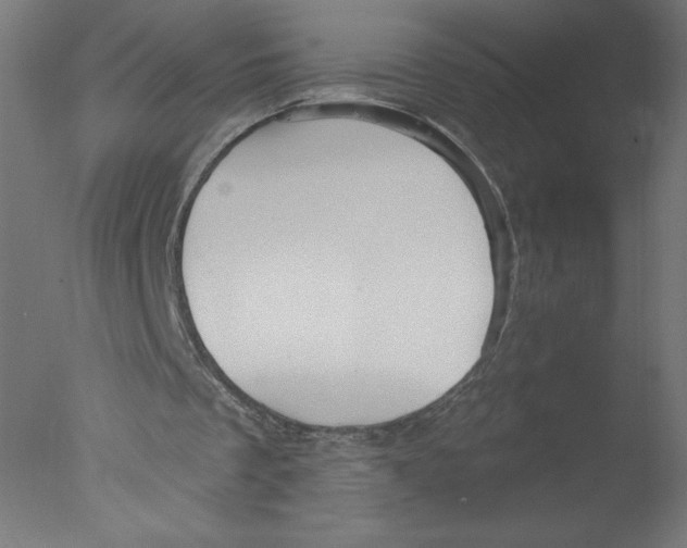 X0000076060289200610201955