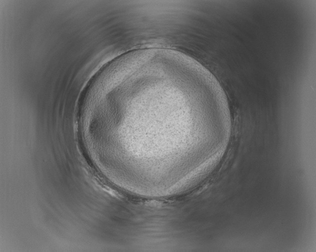 X0000076060290200610201955