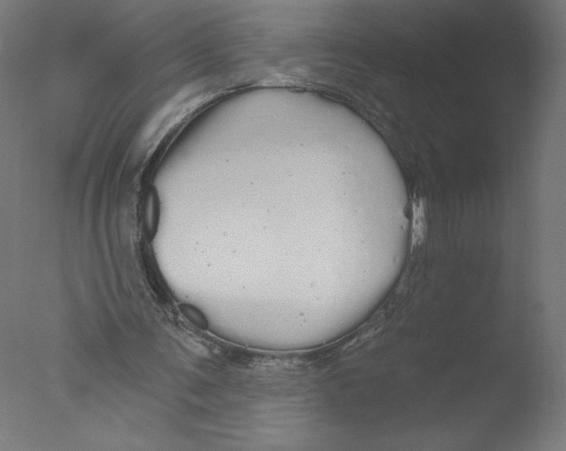 X0000076060291200610201955