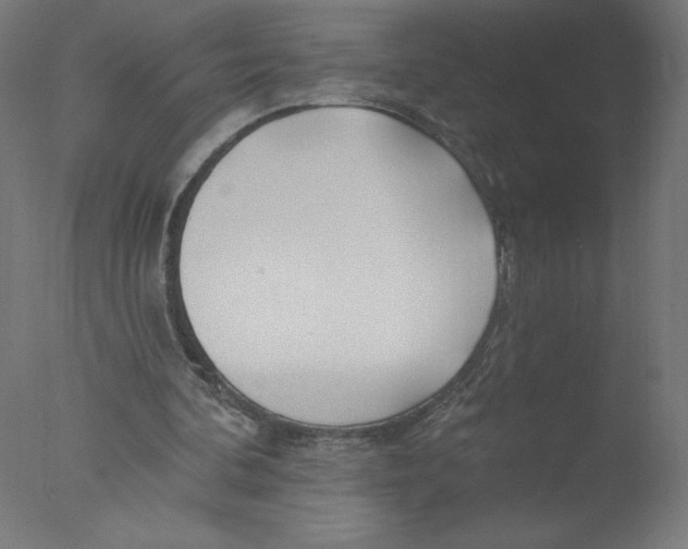 X0000076060292200610201955